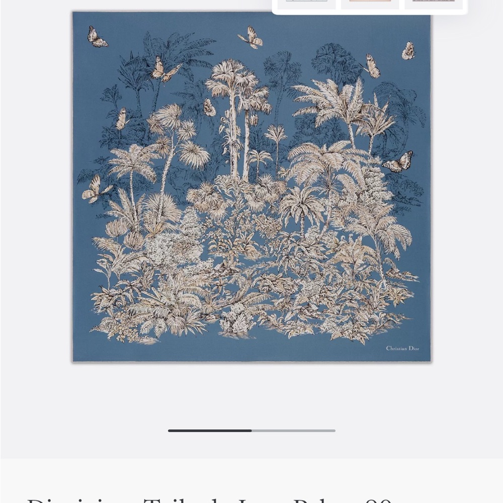 Dior Blue and Cream Scarf